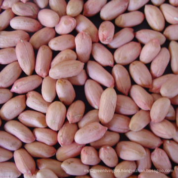 New Crop Good Quality Peanut Kernel